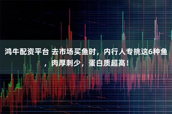 鸿牛配资平台 去市场买鱼时，内行人专挑这6种鱼，肉厚刺少，蛋白质超高！