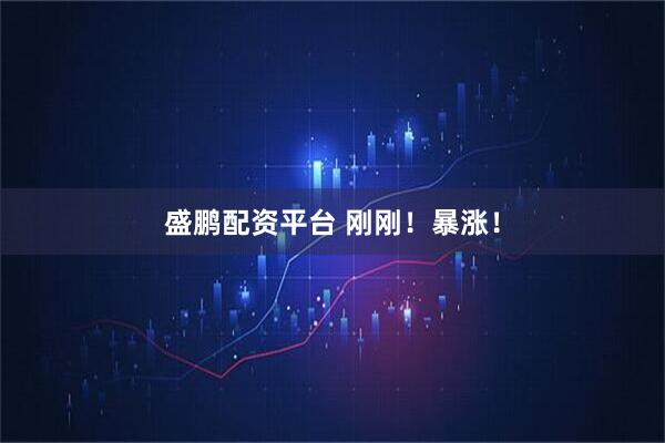 盛鹏配资平台 刚刚！暴涨！
