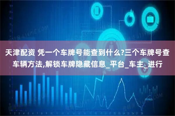 天津配资 凭一个车牌号能查到什么?三个车牌号查车辆方法,解锁车牌隐藏信息_平台_车主_进行