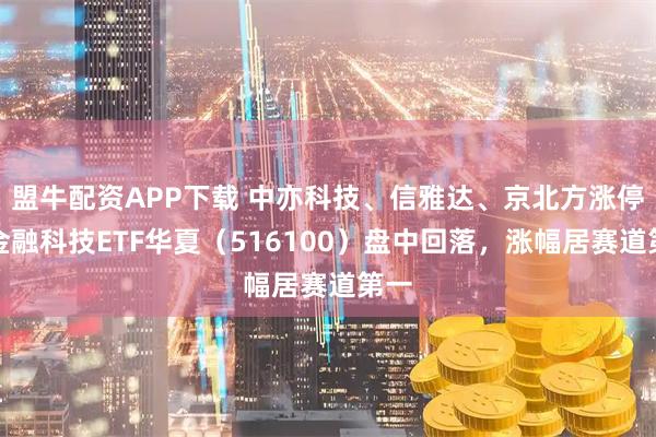 盟牛配资APP下载 中亦科技、信雅达、京北方涨停，金融科技ETF华夏（516100）盘中回落，涨幅居赛道第一