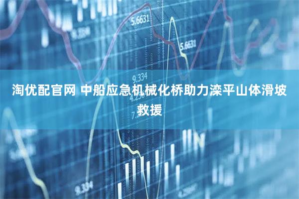淘优配官网 中船应急机械化桥助力滦平山体滑坡救援