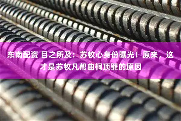 东南配资 目之所及:苏牧心身份曝光!原来,这才是苏牧凡帮曲桐顶罪的原因